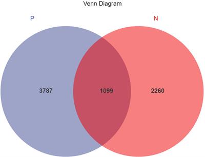 Combined microbiome and metabolome analysis of gut microbiota and metabolite interactions in chronic spontaneous urticaria